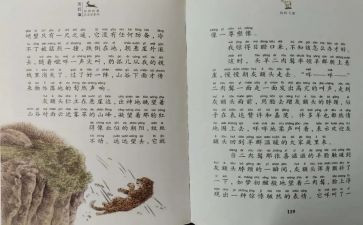 斑羚飞渡羊的读后感最新5篇