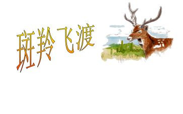 斑羚飞渡羊的读后感8篇