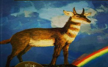 斑羚飞渡读后感作文5篇