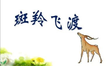 斑羚飞渡羊的读后感通用7篇