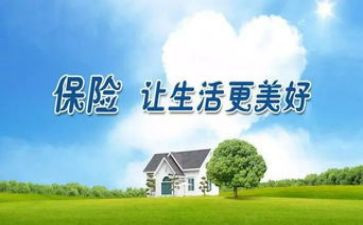 保险年终工作总结个人总结通用8篇