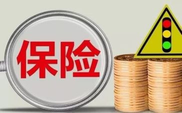 保险年终工作总结个人总结优质6篇