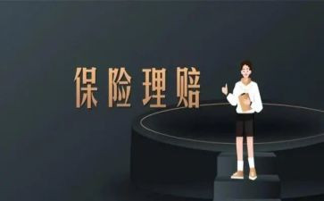 保险公司工作总结6篇