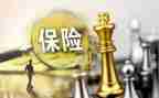 保险业务半年总结5篇
