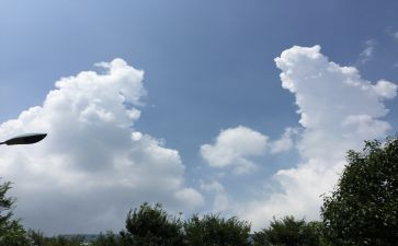 家乡环境变化的调查报告6篇