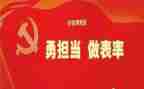 守纪律,明规矩,作表率心得体会6篇
