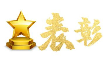 个人表彰个人总结5篇