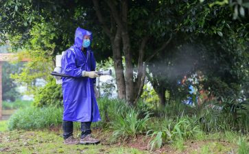 病媒生物防治的工作总结8篇