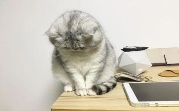 不开心的一件事作文参考8篇
