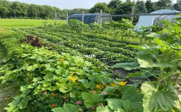 传菜部工作月总结6篇