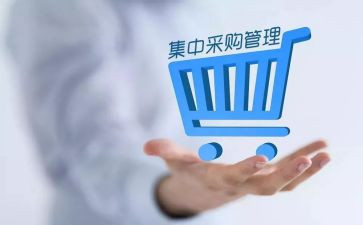 采购个人总结范文8篇