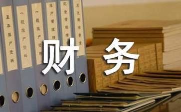 财务岗的年终个人总结优秀6篇