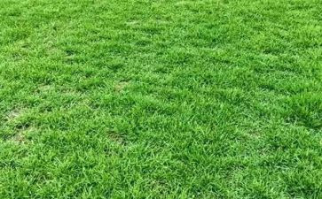 三国草船借箭读后感500字7篇