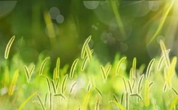 读草船借箭读后感模板5篇