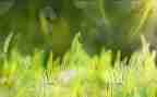 草木屋读后感参考5篇