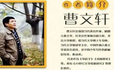 曹文轩的作品的读后感7篇