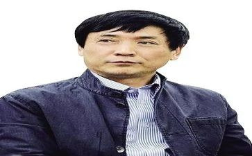 曹文轩的作品根鸟的读后感5篇