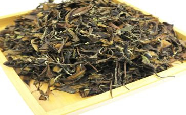 三杯茶读后感7篇