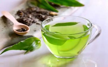 茶培训的心得体会200字6篇