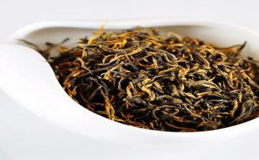 茶女巫读后感8篇