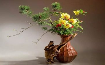 关于插画的作文8篇