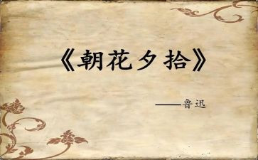 关于朝花夕拾读后感作文8篇