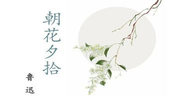朝花夕拾读后感初一500字7篇