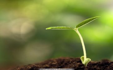 工作计划与成长计划5篇