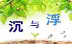 沉与浮教案反思最新8篇