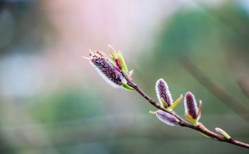 春季开学学生代表讲话稿6篇
