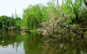 春节的小作文300字优秀6篇