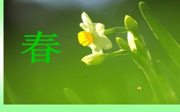分宜的春节作文参考8篇