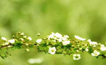 春期工作计划模板8篇