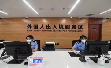 出入境年工作总结7篇