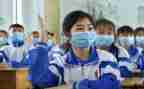 2024初中生入团申请书推荐5篇