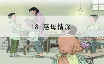 慈母情的读后感5篇