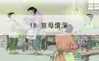 慈母情的读后感5篇