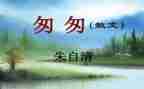 ?w匆匆读后感最新6篇