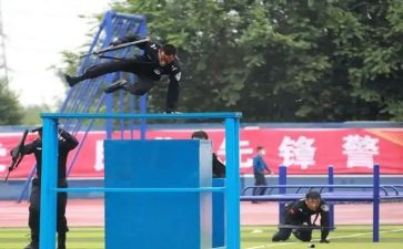 从警个人工作总结最新5篇