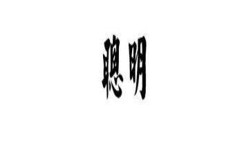 聪明鼠读后感8篇