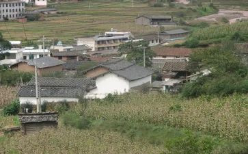 村发言稿范文优质7篇