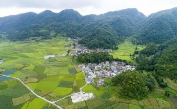 2024年村干部培训周心得体会7篇