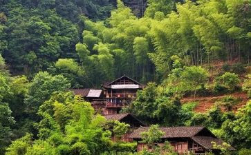 村发言稿范文7篇