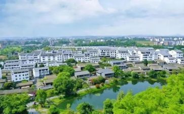 大学生村官年度总结5篇