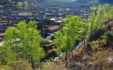 农村小学校长述职报告范文5篇