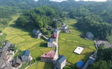 村干部个人述职报告模板5篇