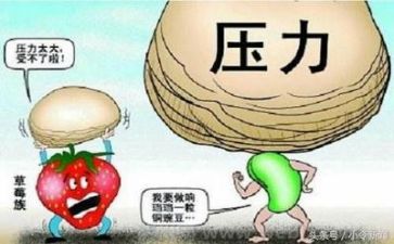 关于成长挫折作文8篇