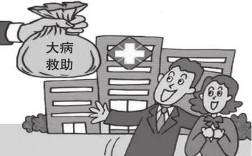 农村大病救助申请书8篇