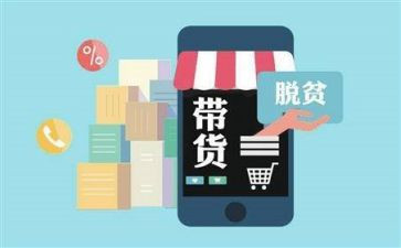对直播带货的工作总结8篇