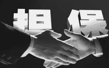 担保年终个人总结6篇